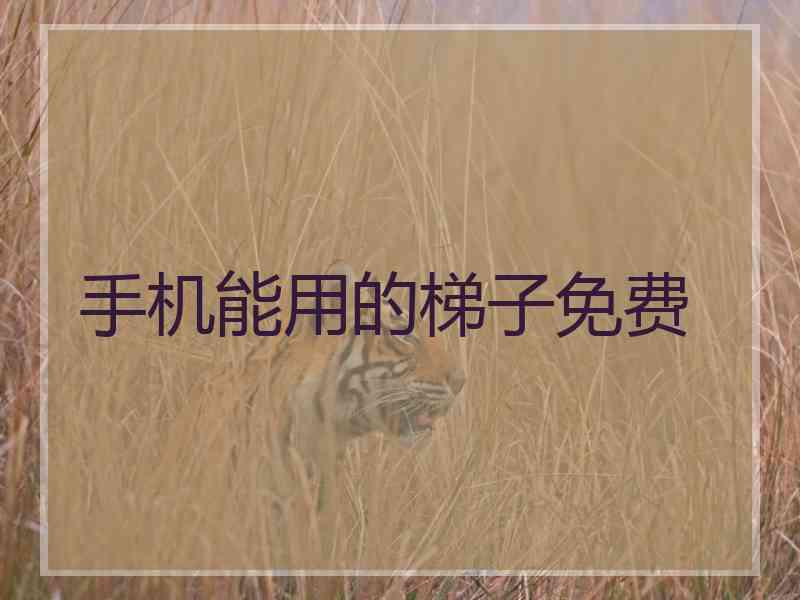 手机能用的梯子免费