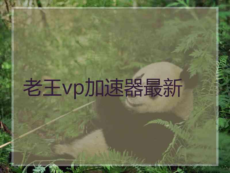 老王vp加速器最新
