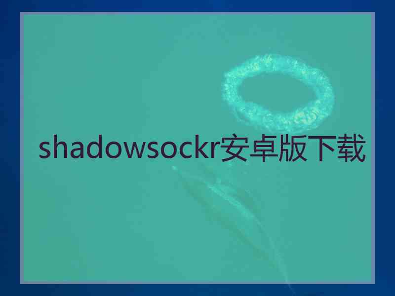 shadowsockr安卓版下载